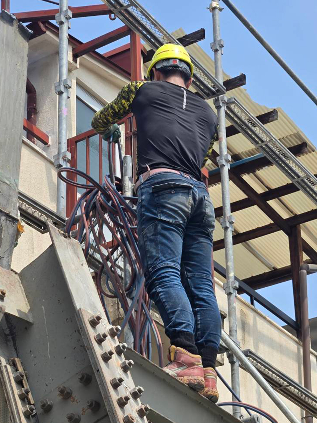 メインビジュアル03